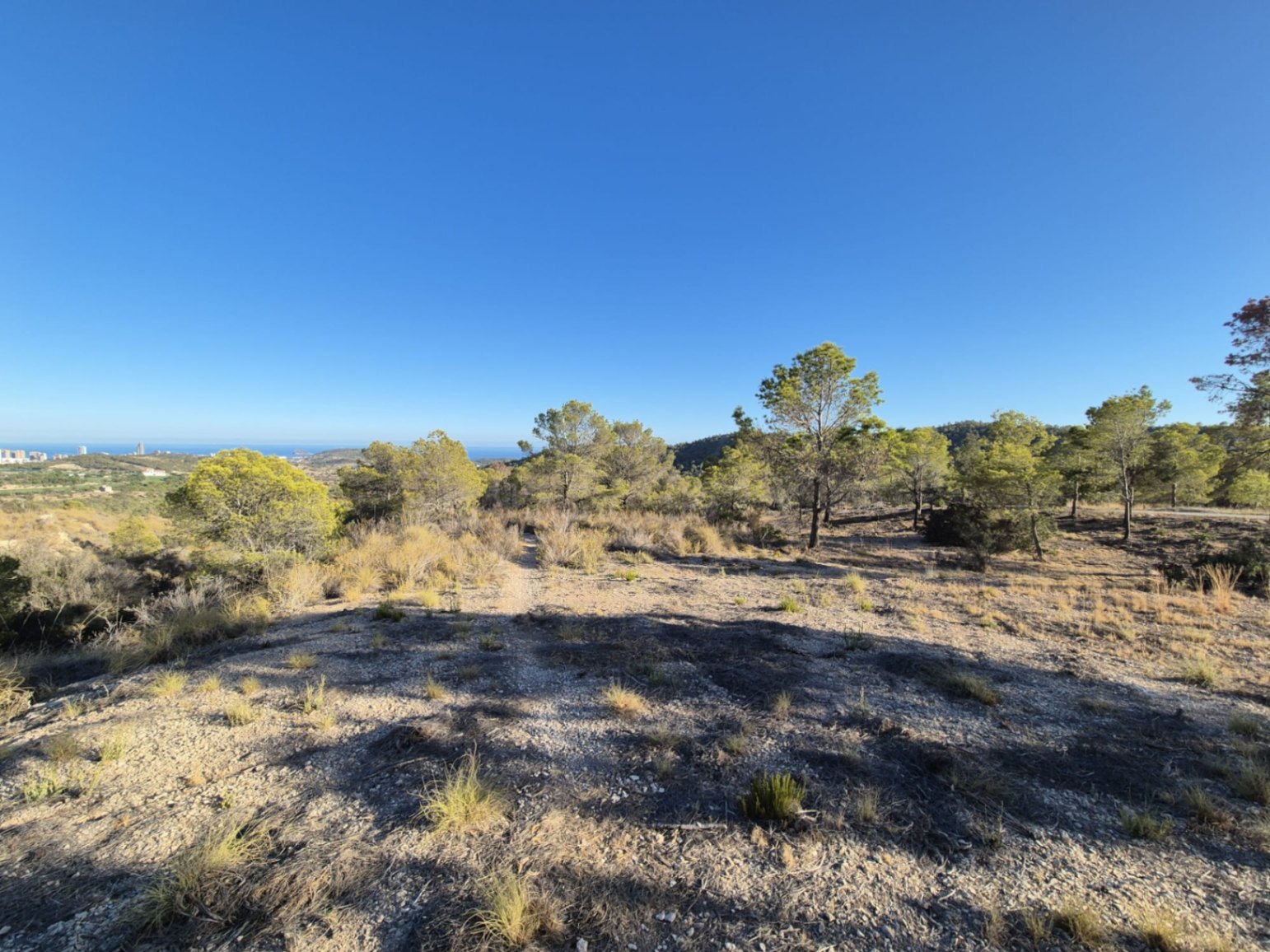 Terreno rústico con vistas al mar en Villajoyosa – Partida Robella de 13.823 m2