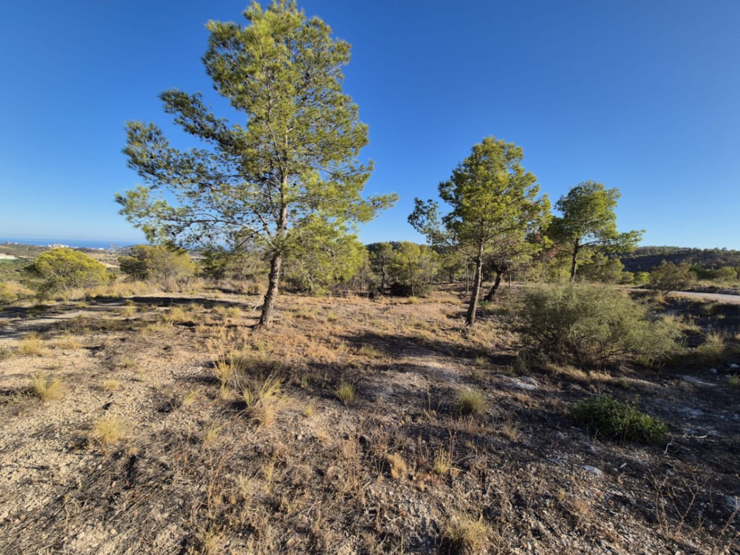Terreno rústico con vistas al mar en Villajoyosa – Partida Robella de 13.823 m2