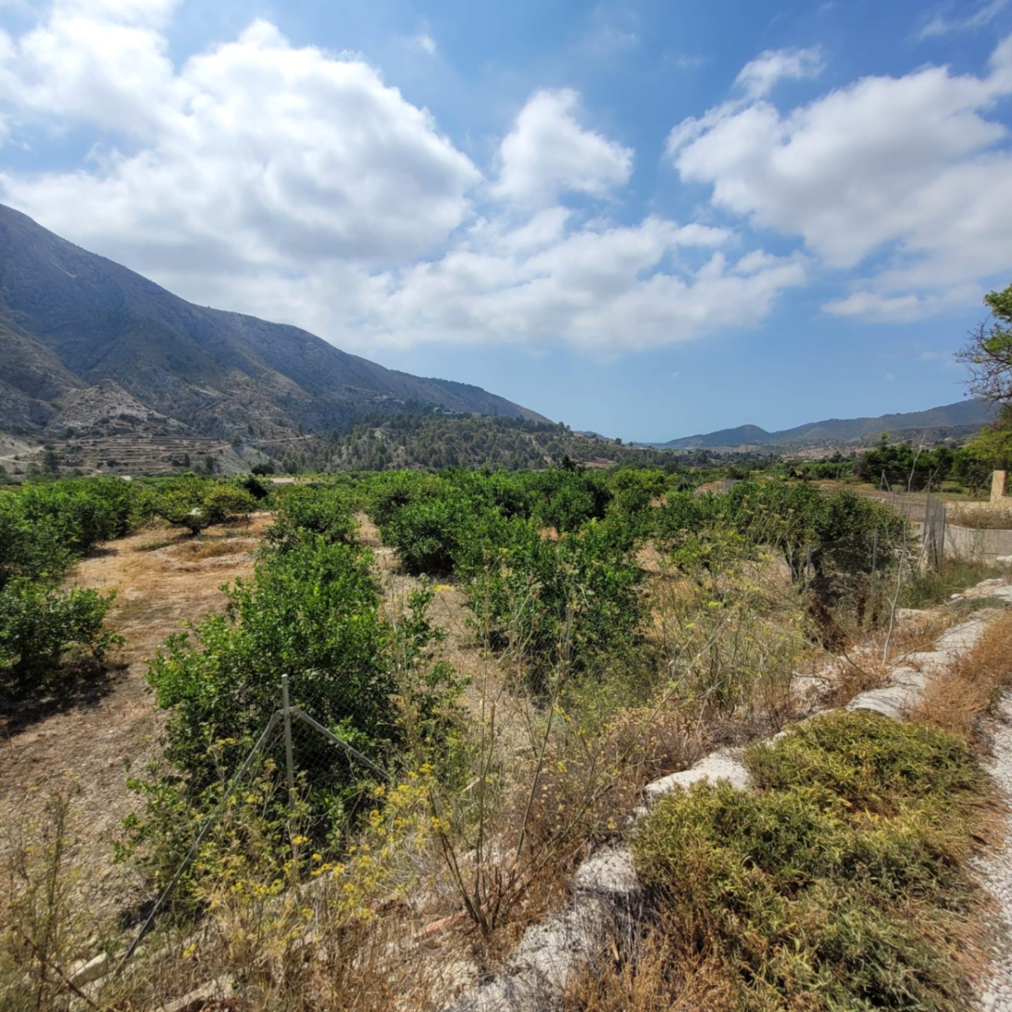Finca rústica con casa de aperos