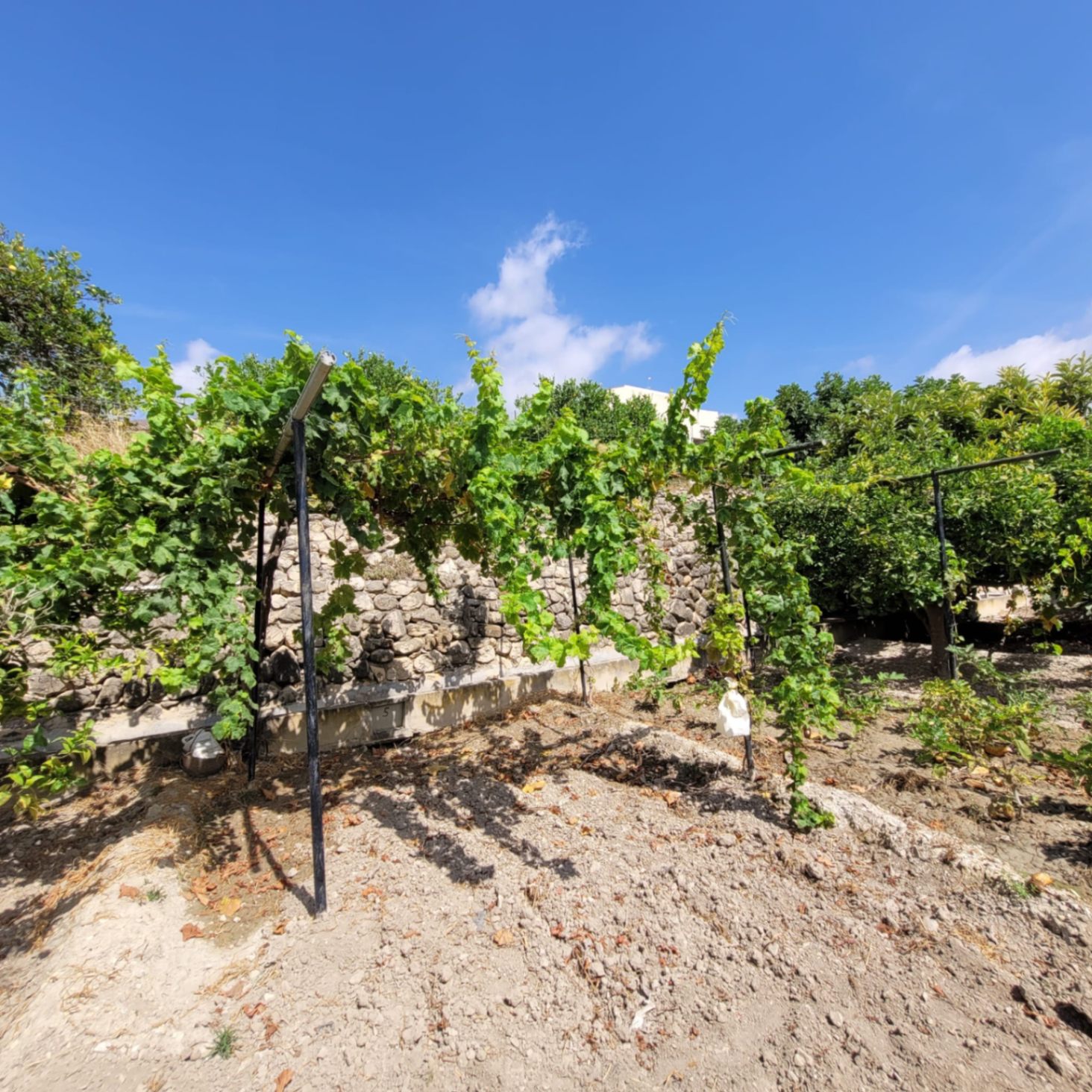 Finca rústica con casa de aperos